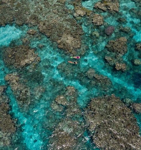 Ga snorkelen in de omgeving van Cairns, Australië - © Tourism and Events Queensland