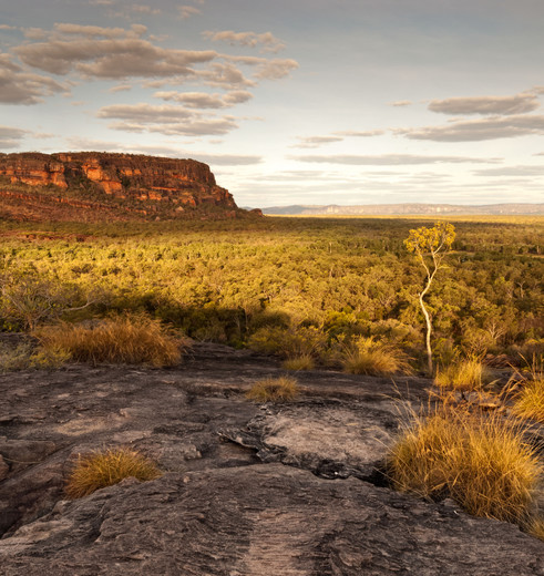Nourlangie Rock in Kakadu National Park, Australië