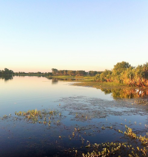 Wetlands in Kakadu National Park, Australië