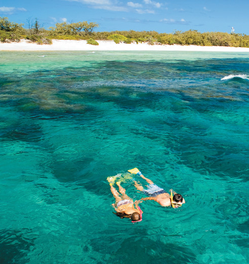 Australie-Lady-Elliot-Island-snorkelen Australie-Lady-Elliot-Island-snorkelen