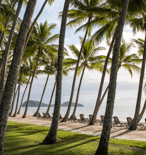 Strand met palmbomen bij Palm Cove, Australië