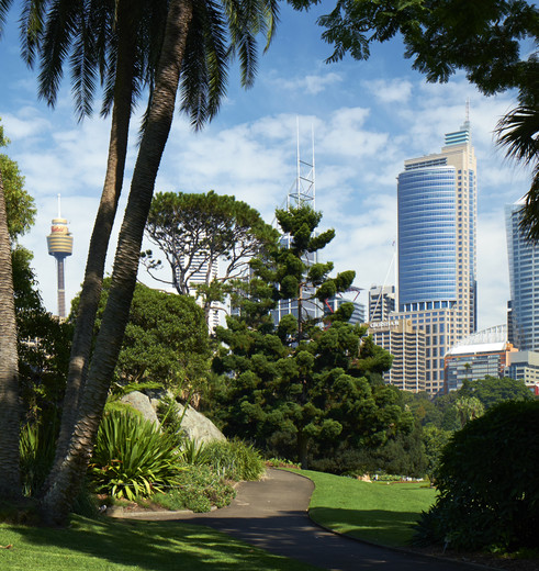 Australie-Sydney-botanische-tuinen_1_559961
