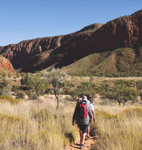Wandel door de West MacDonnell Ranges, Australië - © Great Walks of Australia