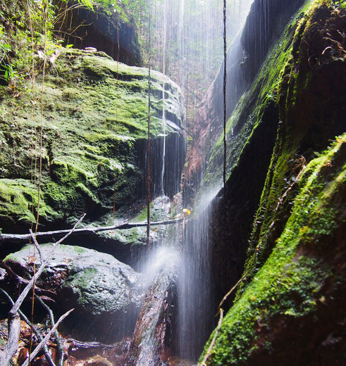 Verkoelende waterval in de Harauvallei op Sumatra, Indonesië