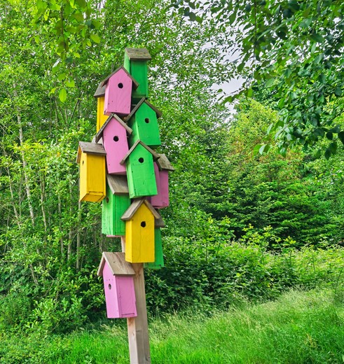 Kleurrijke vogelhuisjes op het eiland van de kunst: Bainbridge, USA