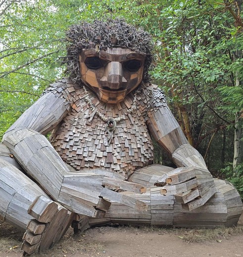 Beelden van aangespoeld hout op Bainbridge Island, USA