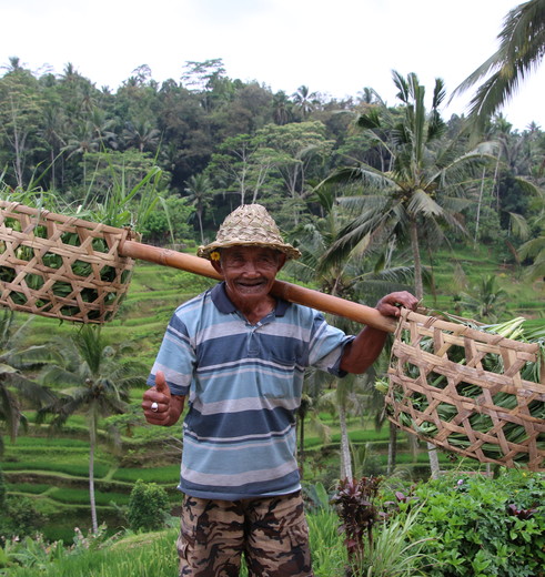 Bali-Jatiluwih-Rijstveld-Local1