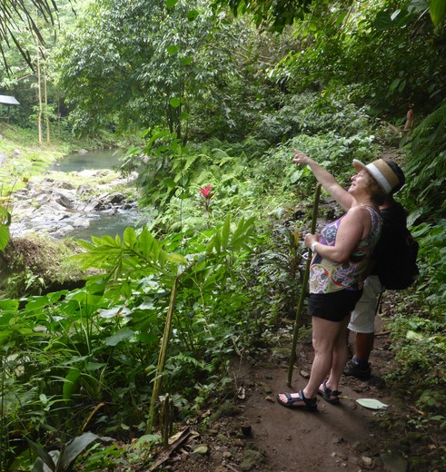 Wandeling in Sambangan, Bali