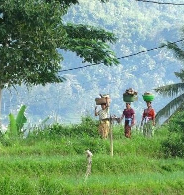 Locals in de rijstvelden in Sidemen op Bali