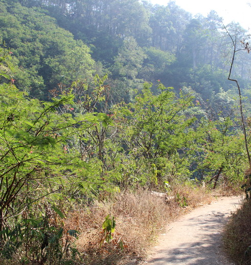 Bandung-Tahura-Djuanda-Park-5