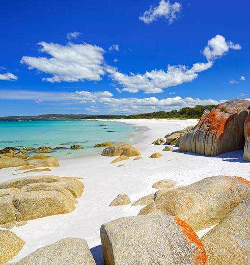 Witte stranden en rode rotsen in Bay of Fires, Australië
