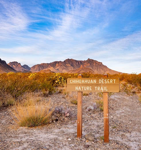 Kies diverse wandelroutes om de natuur in Big Bend National Park, Texas te ontdekken