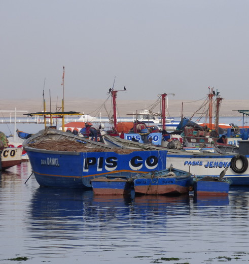 Boten-in-de-haven-van-Paracas(10)
