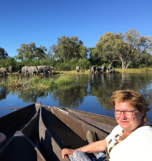 Botswana-Khwai-Mokoro-Olifanten