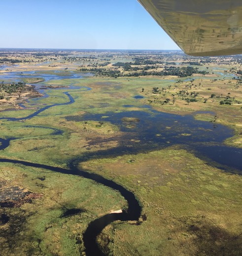 De Okavango Delta vanuit de lucht, Botswana