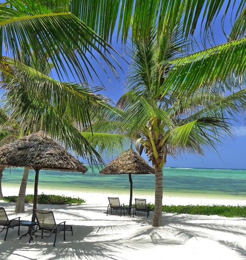 strand Zanzibar, Tanzania