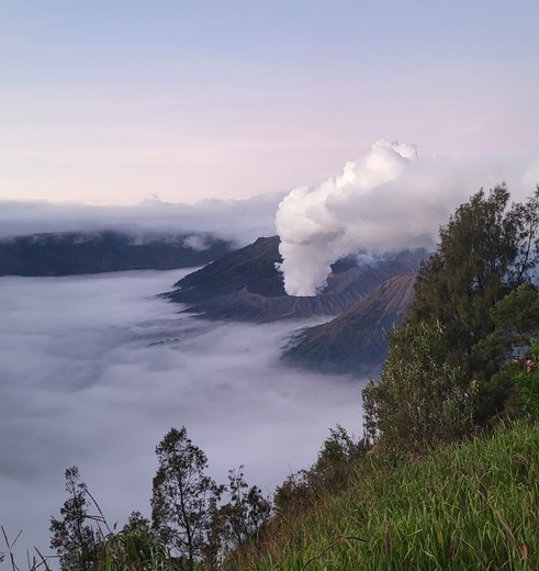 Uitzicht op de rokende Bromo vulkaan, Java, Indonesië