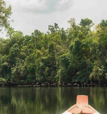 Cambodja-Cardamom-Boottocht_1_379821