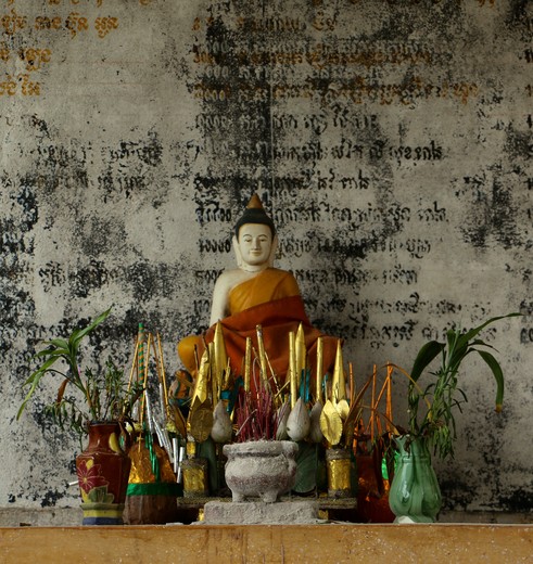 Cambodja-Kratie-offers(8)