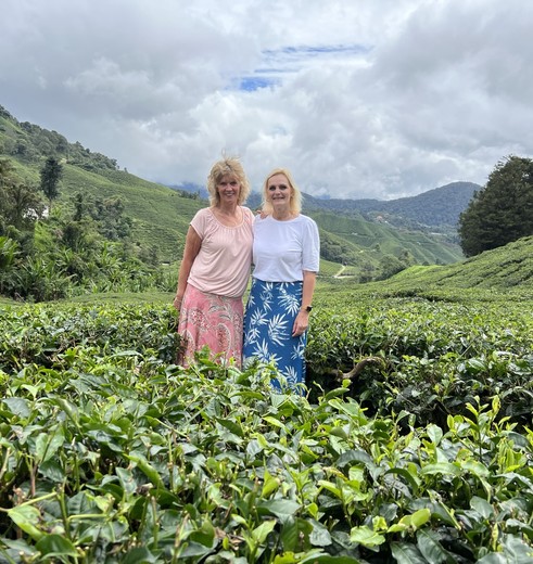 Tussen de theevelden in de Cameron Highlands, Maleisië