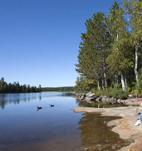 Canada-Algonquin-Omgeving