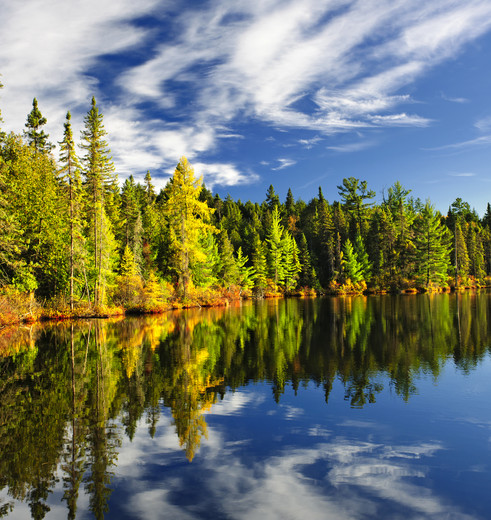 Canada Algonquin national park