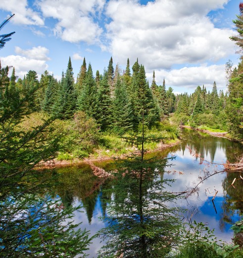 Canada-Algonquin-Provincial-Park-1_1_495272