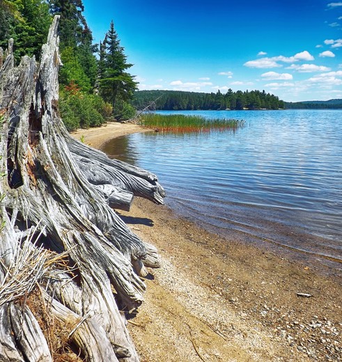 Canada-Algonquin-Uitzicht