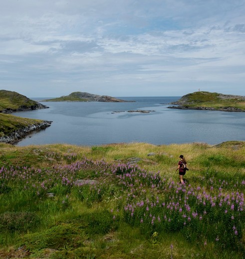 Canada-Fogo-Island-Graslanden