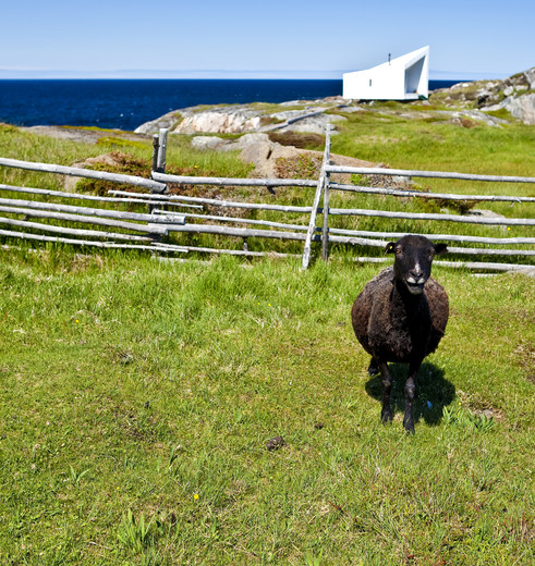 Canada-Fogo-Island-Schaap