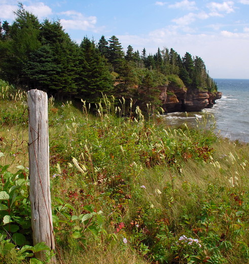 Canada-Gaspesie-National-Park