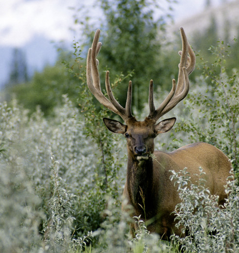 d9bb3a24-6e15-42af-b3a5-f53aca321167