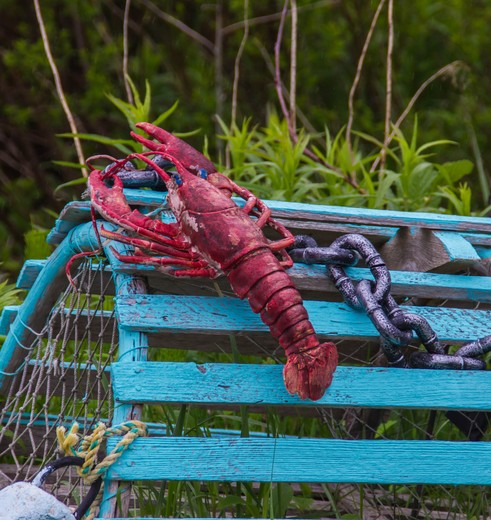 Canada-Nova-Scotia-kreeft