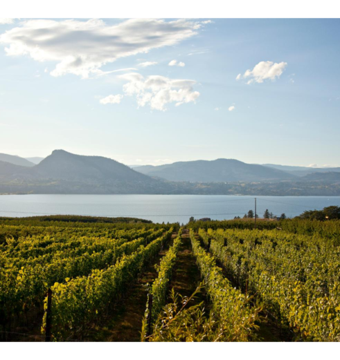 Canada-Okanagan-Vallei-1_1_509093