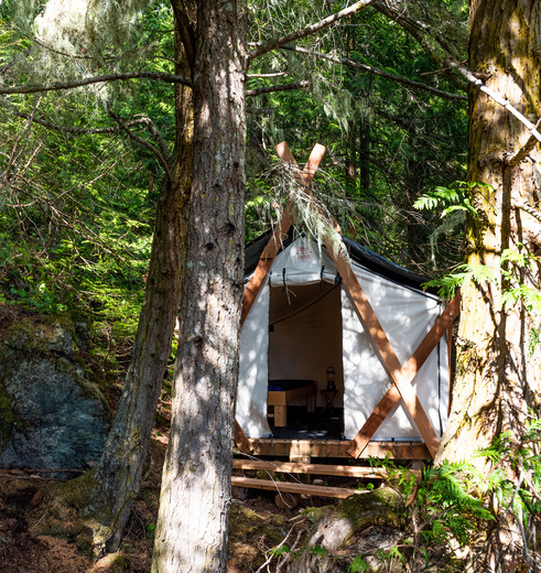 Canada-Port-McNeill-tent