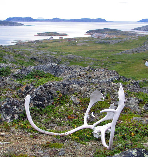 Canada-Quirpon-Elandgewei