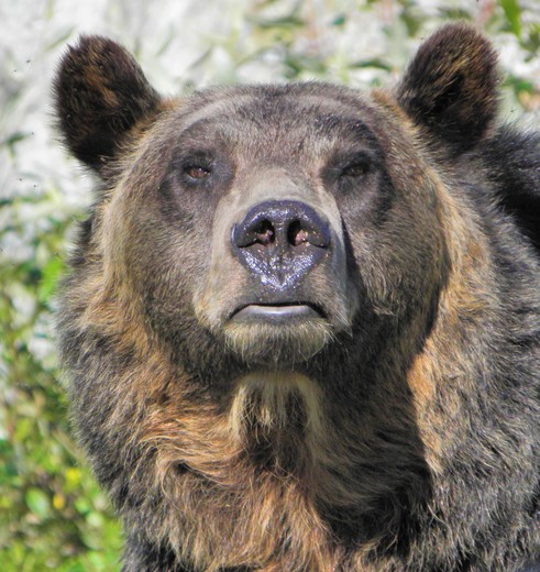 Canada-Vancouver-Beer_1_495079