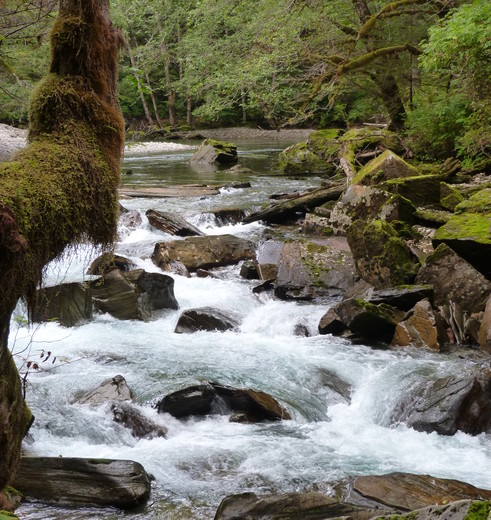 Canada-Vancouver-Island-KnightInletLodge