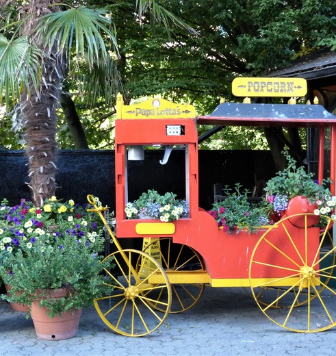 Canada-Vancouver-Island-Victoria-bloemen