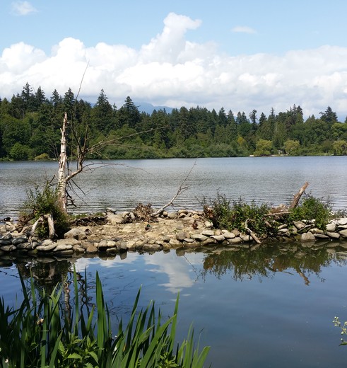 Canada-Vancouver-Stanley-Park-3