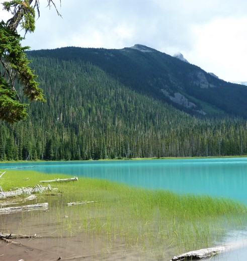 Canada-Whistler-Landschap