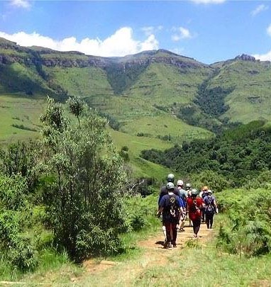 Canopy tour bij Drakensbergen