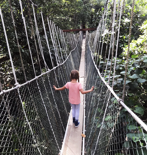 Canopy walk in Maleisië