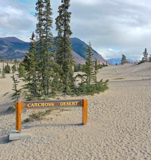 De kleinste woestijn ter wereld bij Carcross, Yukon, Canada