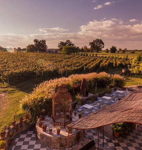 Uitzicht over de wijnvelden bij de Narbona Wine Lodge, Carmelo, Uruguay