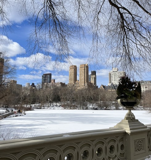 Central Park in de winter in New York