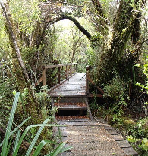 Chili-Chiloe-Nationaal-Park_1_432733