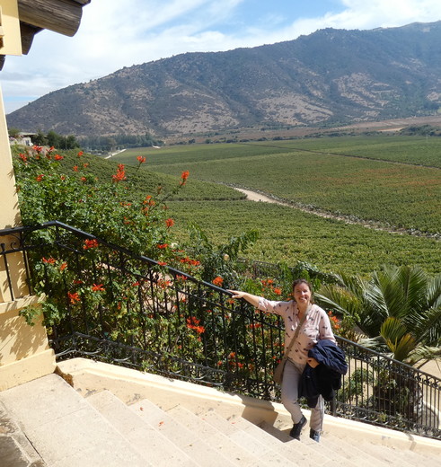 Chili-Colchagua-Vallei-medewerker-Irene