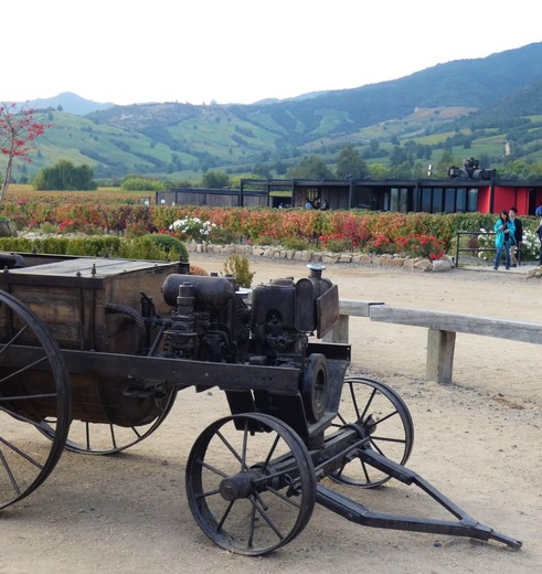 Chili-Colchagua-Vallei-museum-koets_1_450866