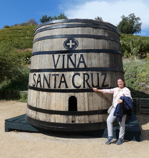 Chili-Colchagua-Valley-bodega